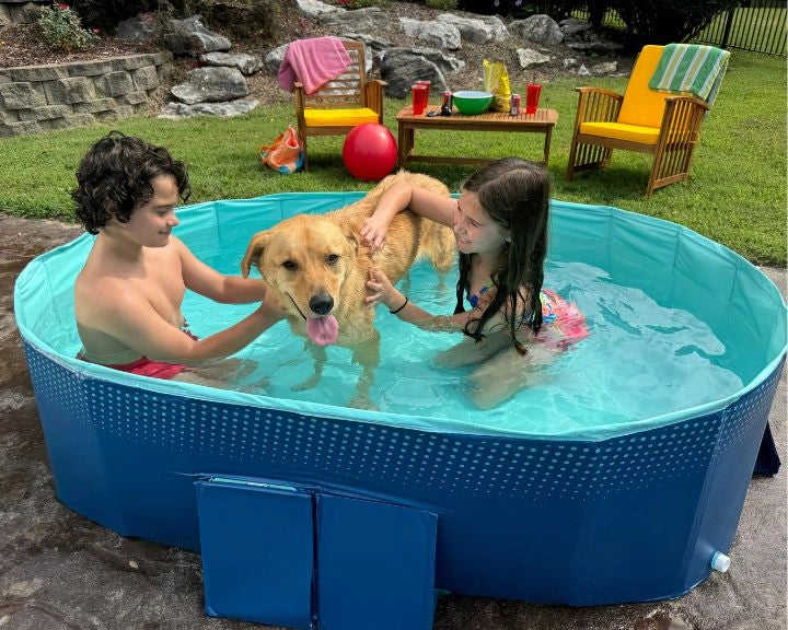 ##product## - Piscine pliante taille M - - Suisseteleachat