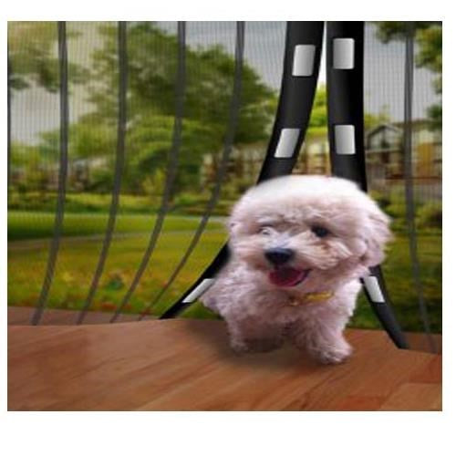 ##product## - PORTE MIRACLE - Antiparasitaire - Suisseteleachat