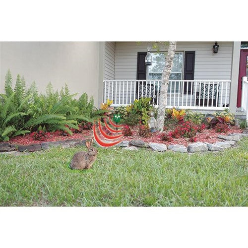 ##product## - STARLYF OWL GUARD - Antiparasitaire - Suisseteleachat