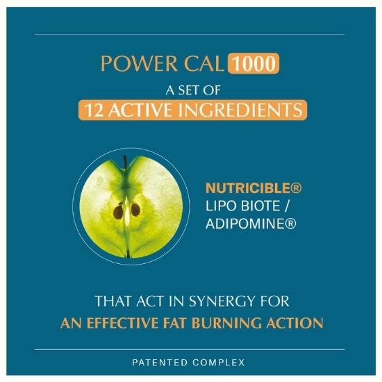 POWERCAL 1000 - 60 jours