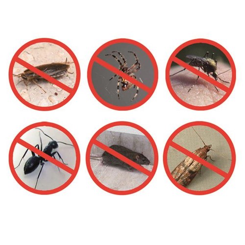 ##product## - Pest Reject Pro X2 - Repulse Insecte X2 - Antiparasitaire - Suisseteleachat